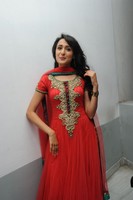 Pragya Photo Gallery
